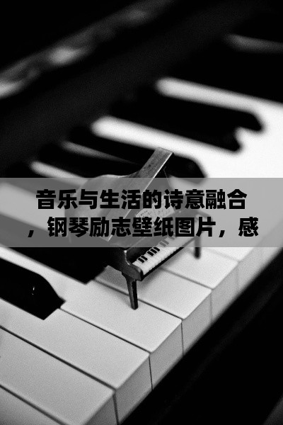 音樂(lè)與生活的詩(shī)意融合，鋼琴勵(lì)志壁紙圖片，感受美好瞬間