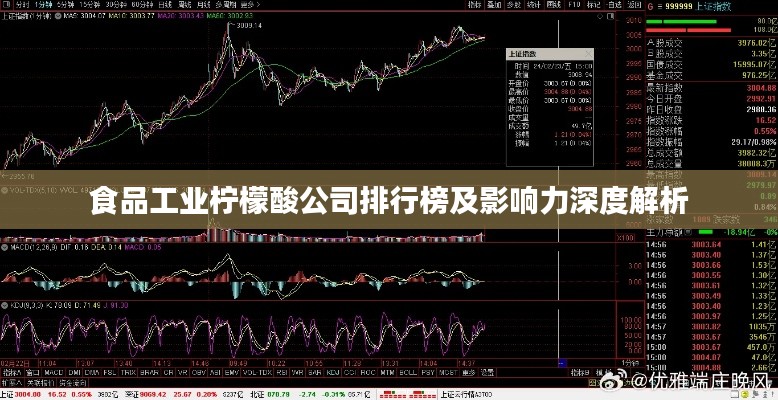 食品工業(yè)檸檬酸公司排行榜及影響力深度解析