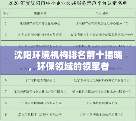 沈陽環(huán)境機(jī)構(gòu)排名前十揭曉，環(huán)保領(lǐng)域的領(lǐng)軍者