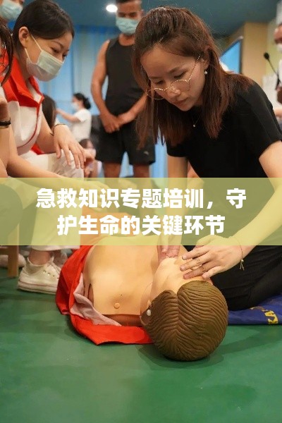 急救知識專題培訓(xùn)，守護(hù)生命的關(guān)鍵環(huán)節(jié)