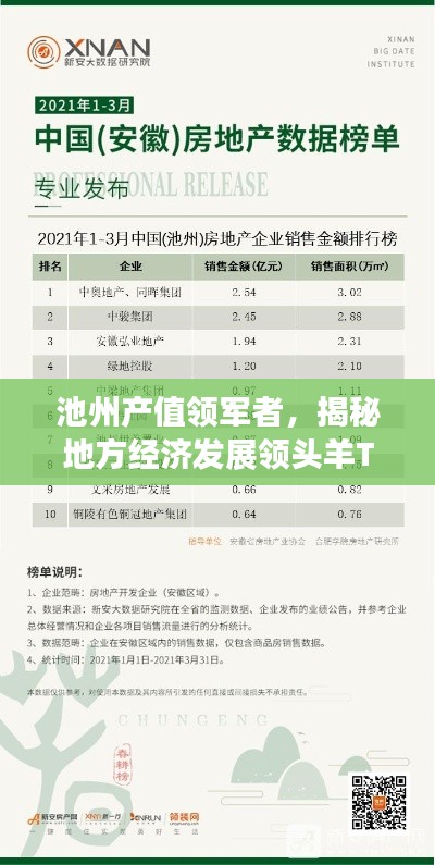 池州產(chǎn)值領(lǐng)軍者，揭秘地方經(jīng)濟發(fā)展領(lǐng)頭羊TOP10企業(yè)名單
