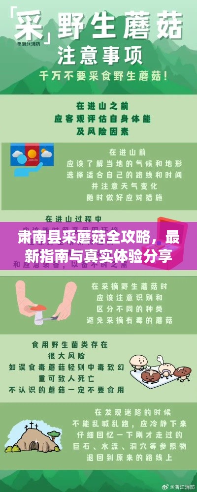 肅南縣采蘑菇全攻略，最新指南與真實體驗分享