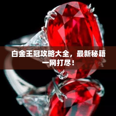 白金王冠攻略大全，最新秘籍一網(wǎng)打盡！